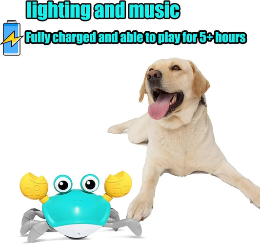 Blue crawling crab dog toy with obstacle avoidance sensor, measuring 21.5cm long, on a flat surface