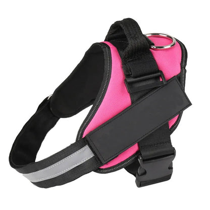 A reflective adjustable no-pull dog harness in nylon, shown on a dog, with a sturdy handle and D-ring for leash attachment.