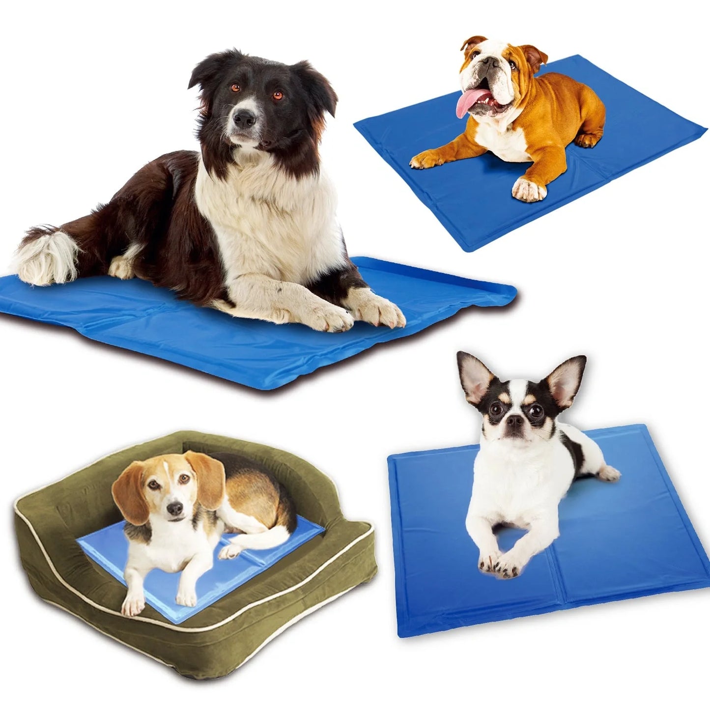 Blue dog cooling mat with pressure-activated ice crystal technology for summer comfort