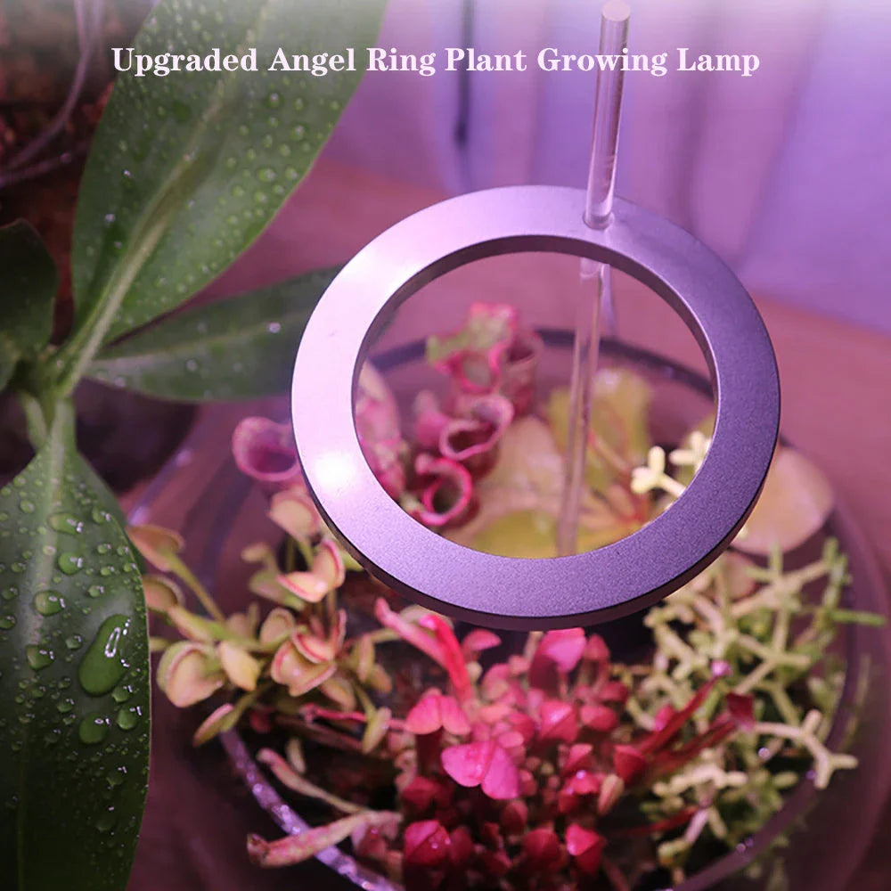 Full spectrum LED grow light with angel ring design for indoor plants, flowers, and seedlings