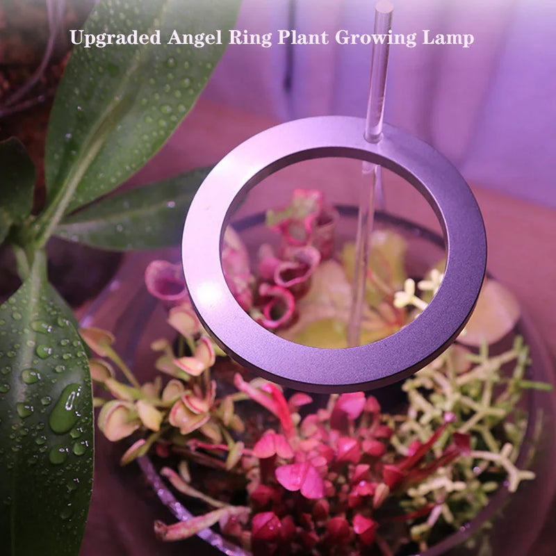 Full Spectrum LED Grow Light with Angel Ring Design for Indoor Plants