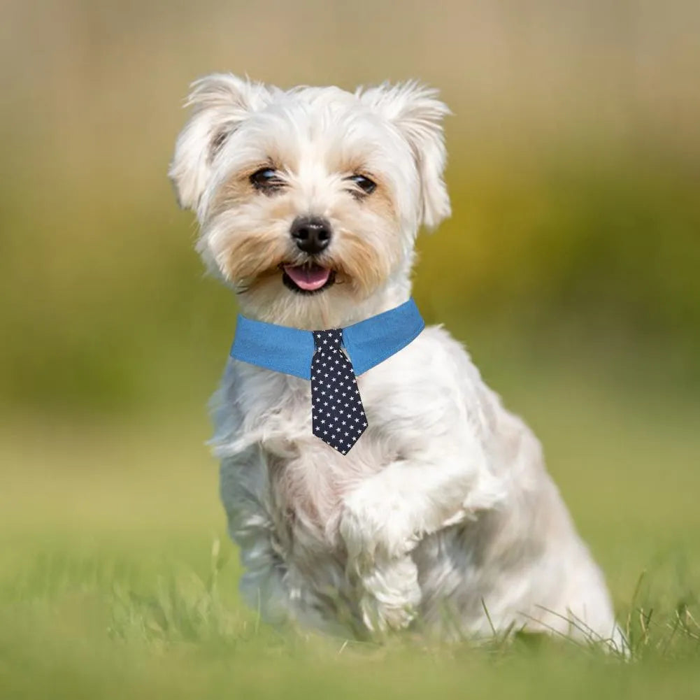 Blue denim dog collar with white star pattern, styled as an adjustable bow tie for formal pet wear.