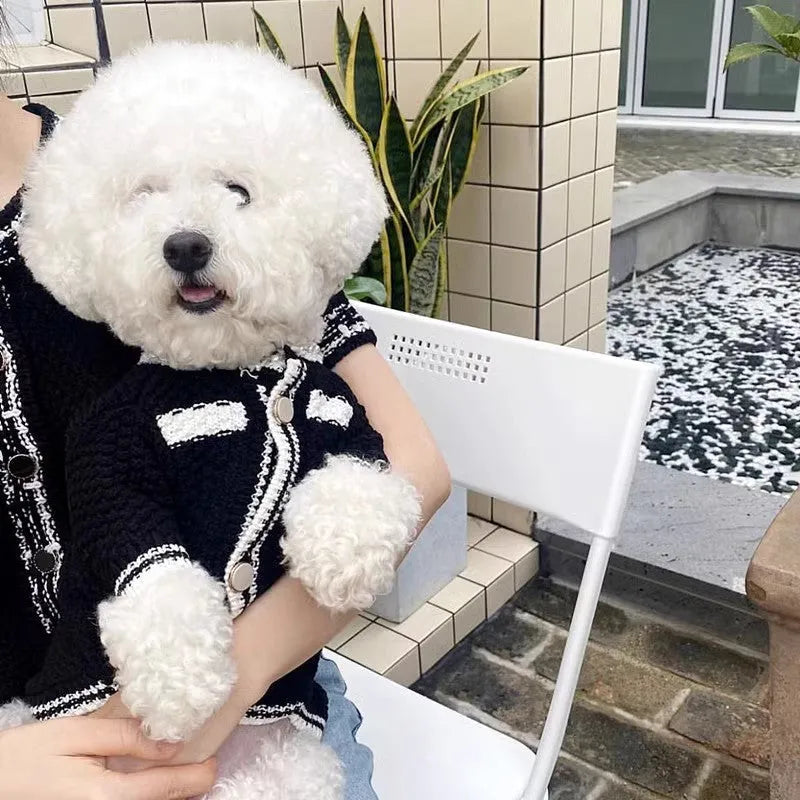 White Korean-style puppy sweater with a pearl collar on a small dog, showing the princess style design.