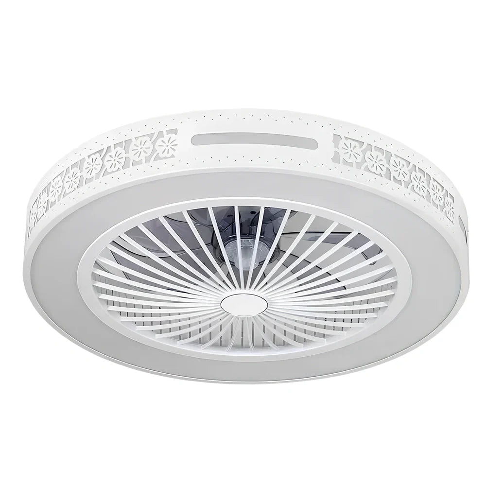 Ceiling fan light with decorative acrylic blades and integrated lighting, 56cm diameter