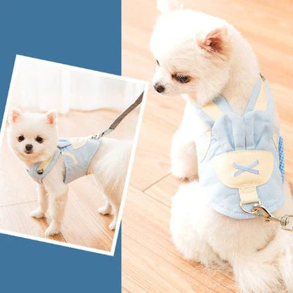 Durable and breathable small dog harness and leash set in various colors and sizes