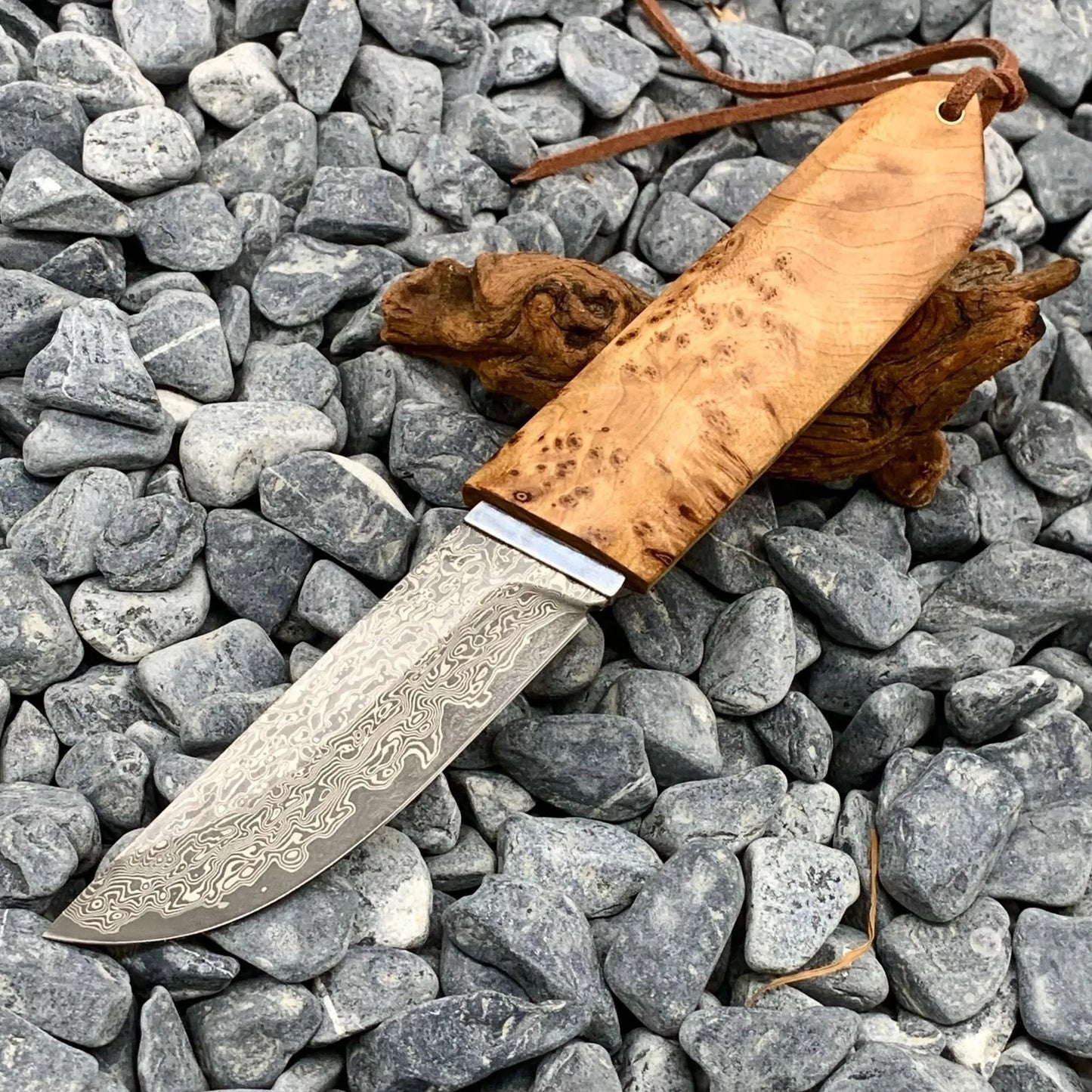 Outdoor Damascus steel short knife with Thuja wood handle showing 18cm length