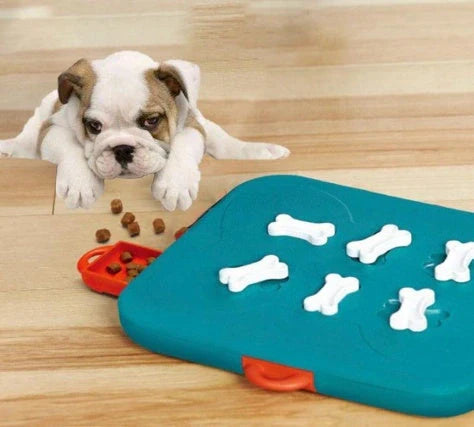 Blue casino treasure hunt puzzle food spill toy for pets, lightweight and durable