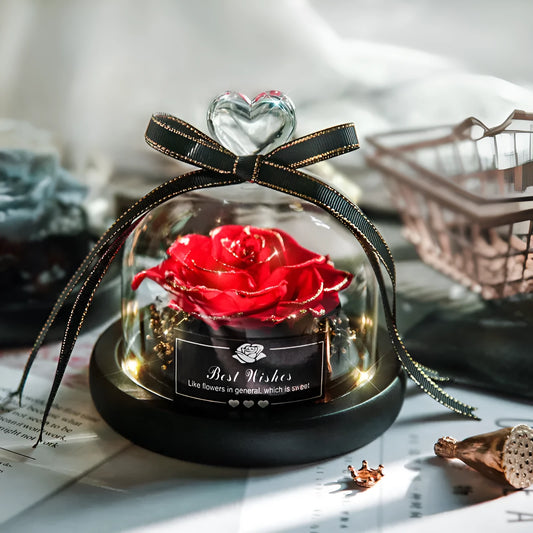 LED eternal real rose preserved in a glass dome home decor with colour options.