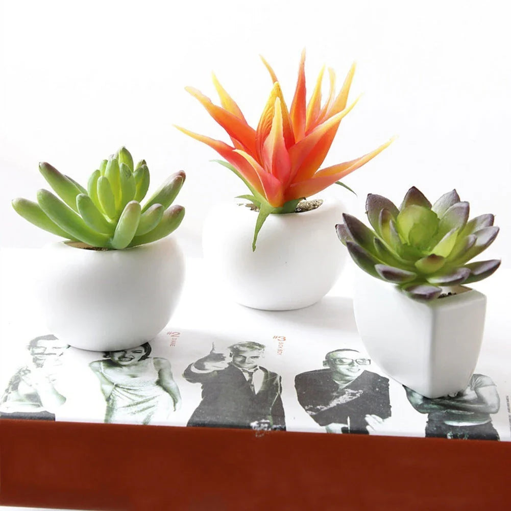 Lifelike artificial succulent fridge magnets with realistic silicone plants in various colors