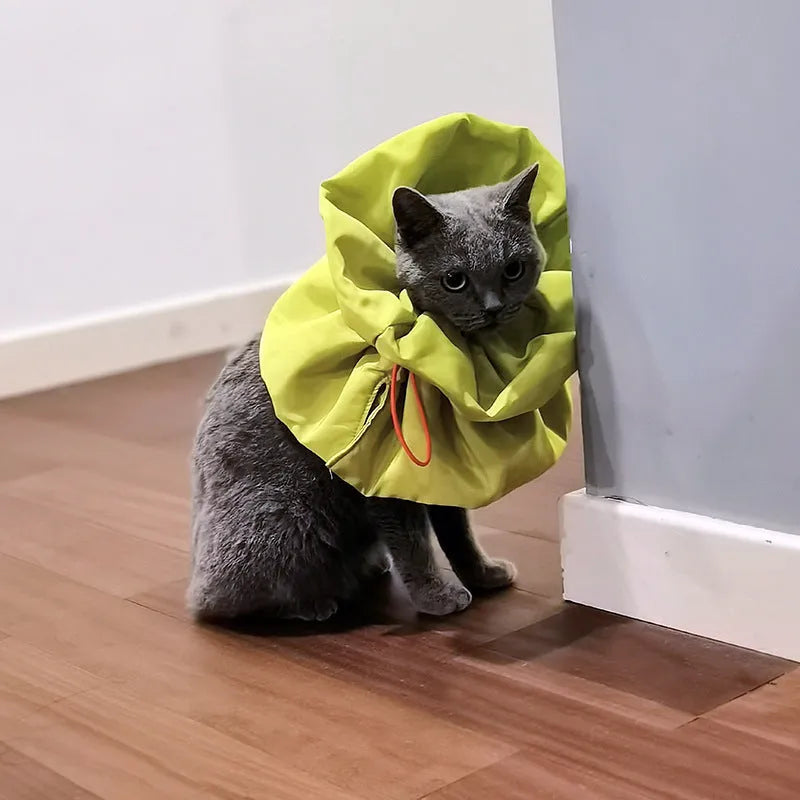 Soft blue adjustable Elizabethan recovery cone collar for a cat or small dog on a white background.