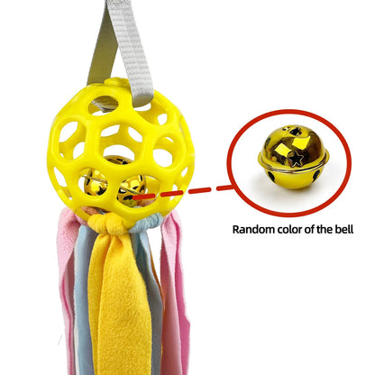 Interactive hollow ball pet toy with TPR sound in five colour options