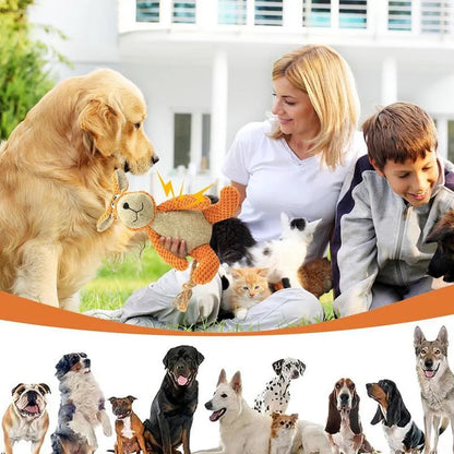 Plush dog squeaky toy in animal shapes for teeth cleaning and interactive play