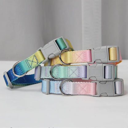 Gradient colour nylon dog leash showing pink-blue colour transition with metal attachment clip
