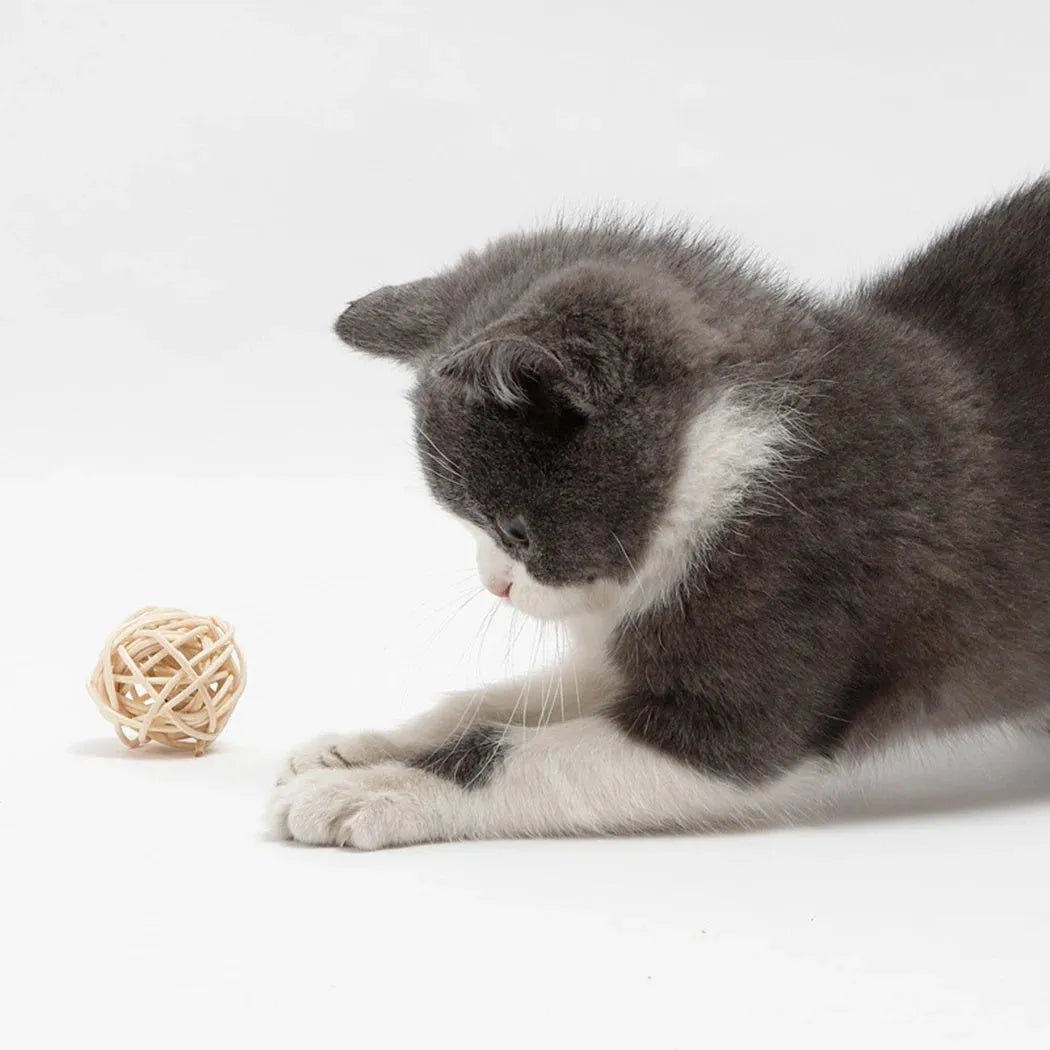 Two-piece cat toy set showing rattan ball and faux feather ball for interactive pet play