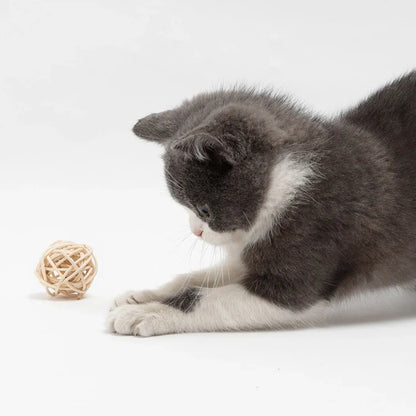 Two-piece cat toy set showing rattan ball and faux feather ball for interactive pet play