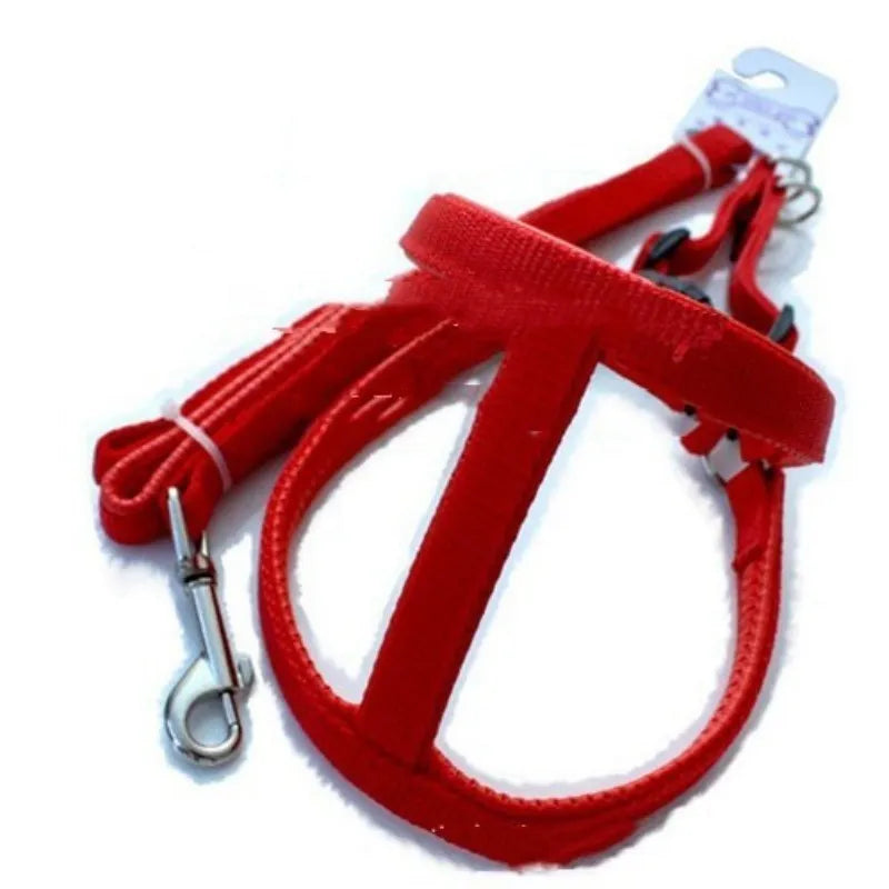 Nylon dog harness with soft foam lining in blue, black or red colours