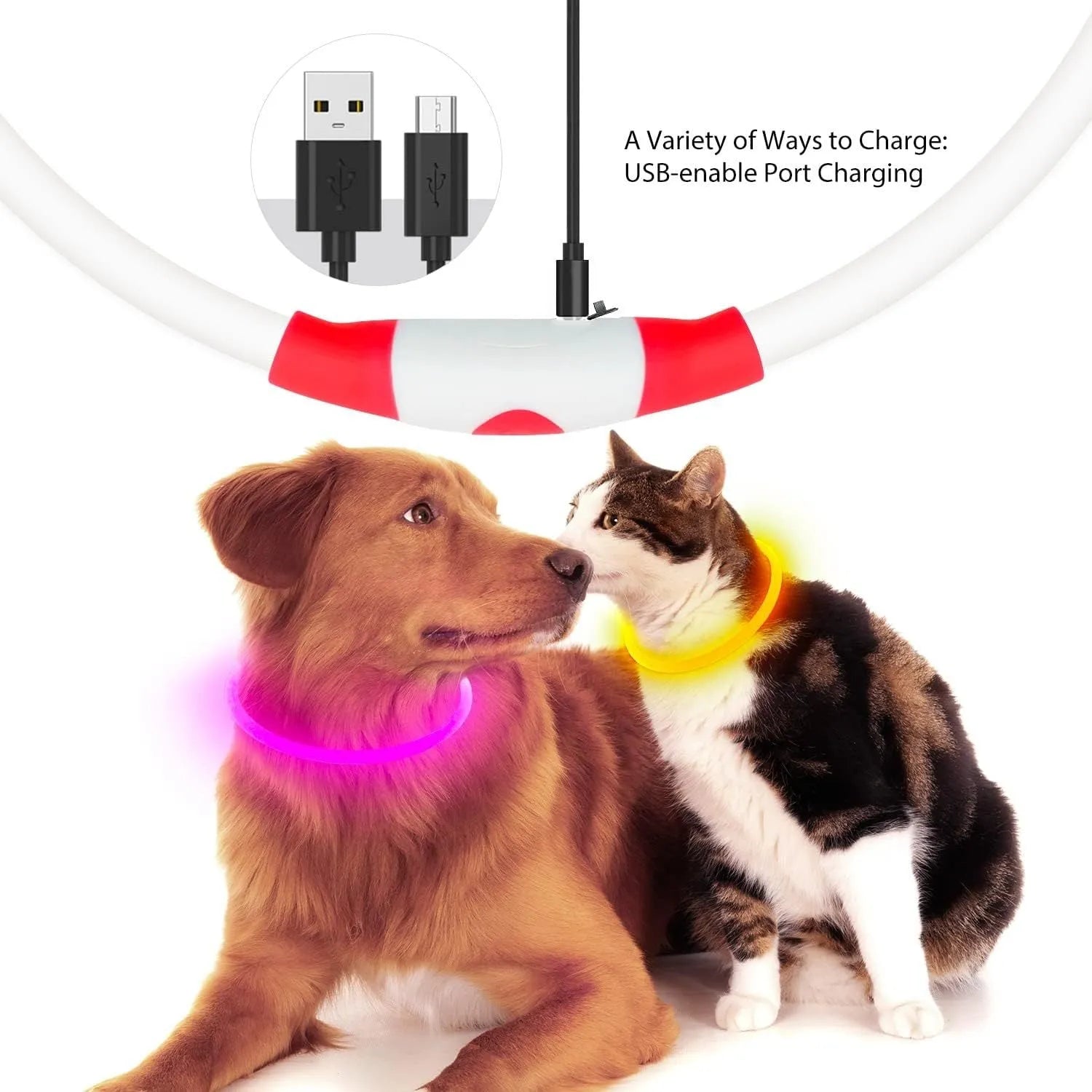 USB-rechargeable LED dog collar with blue glow, adjustable 70cm length, and three flash modes for pet safety.