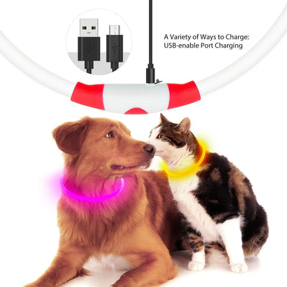 USB-rechargeable LED dog collar with blue glow, adjustable 70cm length, and three flash modes for pet safety.