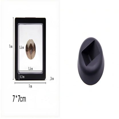 Black 11x11cm suspended 3D floating display frame holder with square base for coins and gems