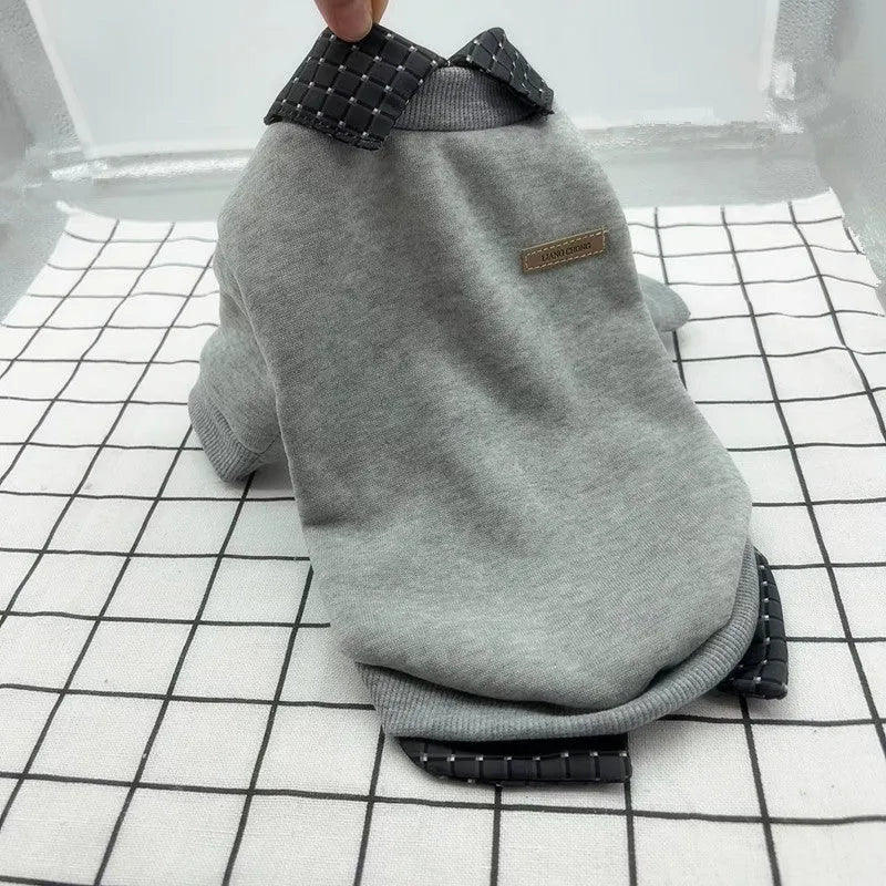 Grey dog wearing polyester velvet jumper with detachable hoodie collar