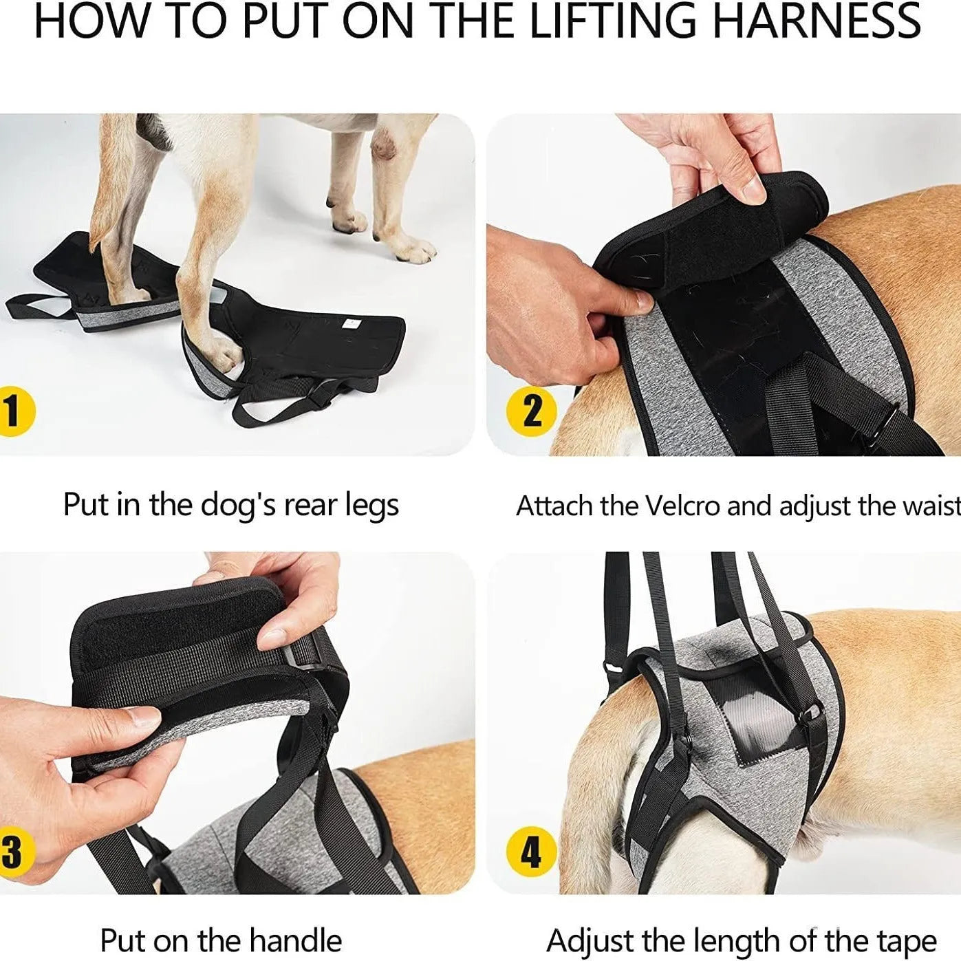 Grey neoprene dog rear leg recovery support belt showing adjustable waist design
