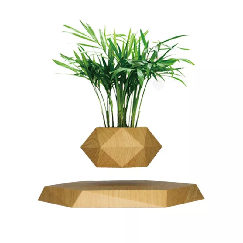 Maglev Pot Plant floating above base in white, wood grain, black, and imitation marble styles