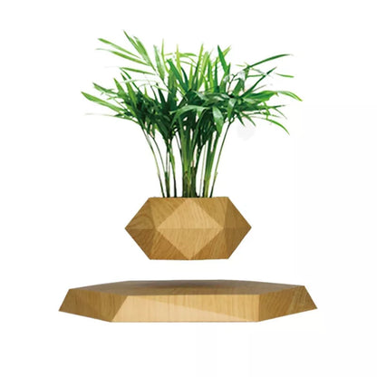 Maglev Pot Plant floating above base in white, wood grain, black, and imitation marble styles