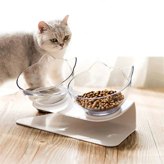 Elevated tilted double pet bowl with transparent design and adjustable stand