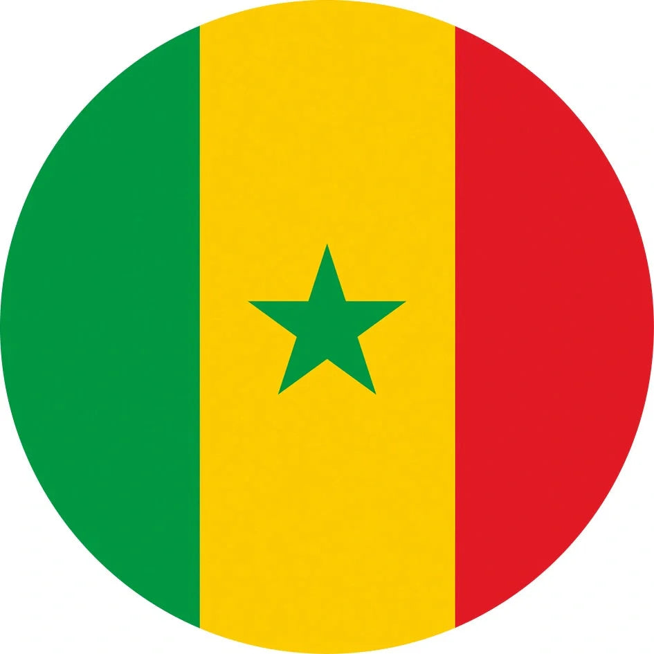 World Cup Qatar football themed biodegradable dishwashing sponges with national flag designs