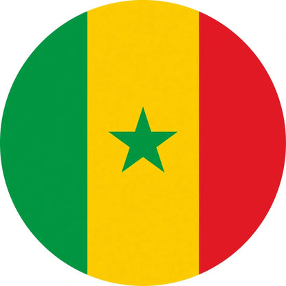 World Cup Qatar football themed biodegradable dishwashing sponges with national flag designs