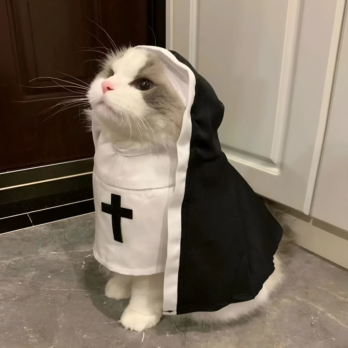 Black and white nun costume for small to medium dogs with pullover cloak design