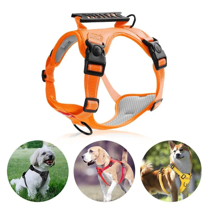 Adjustable polyester dog harness with front D-ring in Lake Blue colour on medium-sized dog