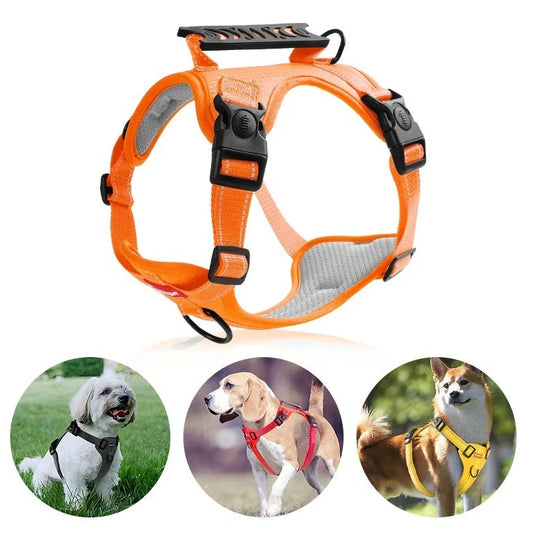 Dog chest harness traction rope in six colours with adjustable sizing for walking control