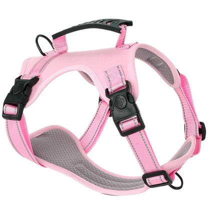 Adjustable polyester dog harness with front D-ring in Lake Blue colour on medium-sized dog
