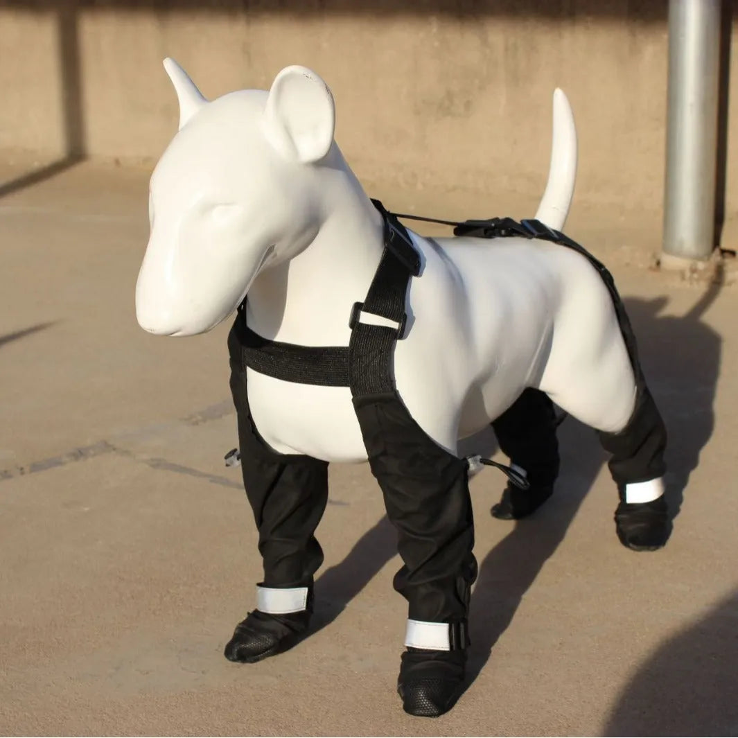 Black waterproof non-slip dog shoes paw protectors in various sizes