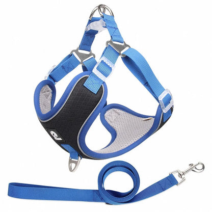 Adjustable mesh dog harness with reflective piping in black, red, gray, and light purple colours