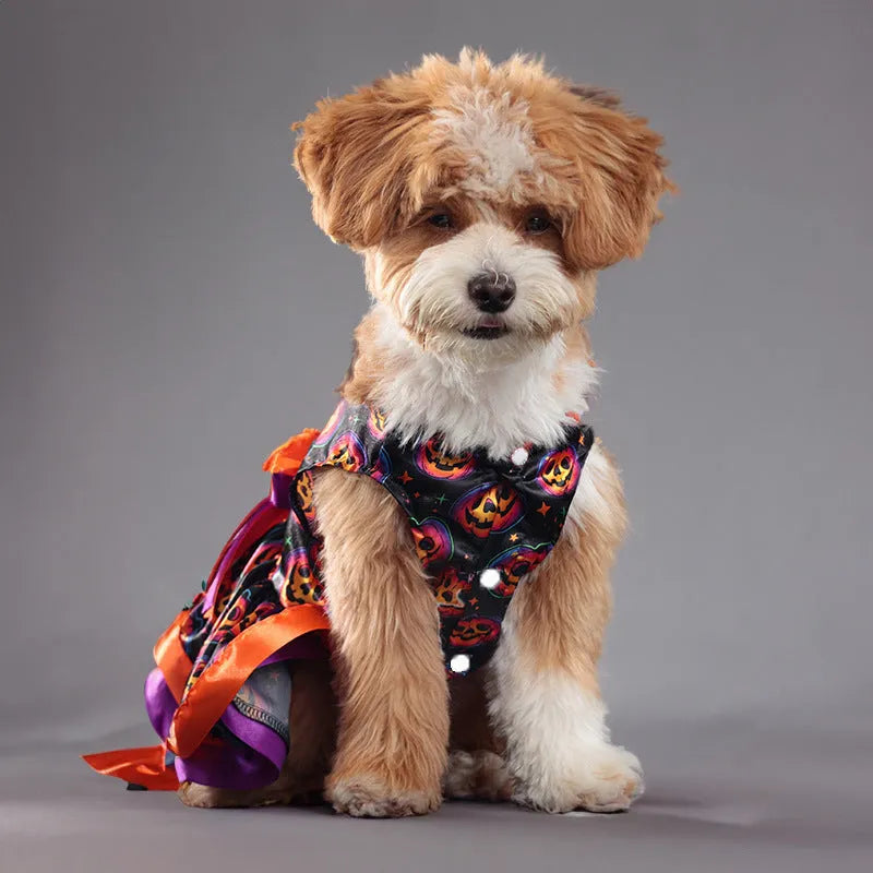 Halloween dog skirt in colourful pumpkin print, double-layer design, size medium on a dog.