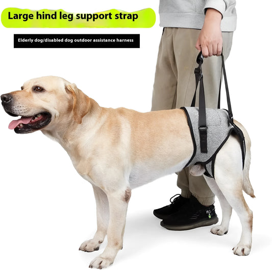 Grey neoprene dog rear leg recovery support belt showing adjustable waist design