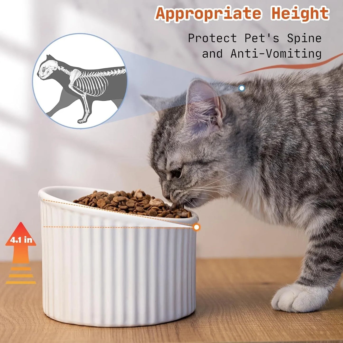 Ceramic raised cat bowl in light green, showing elevated tilted design for pet feeding.
