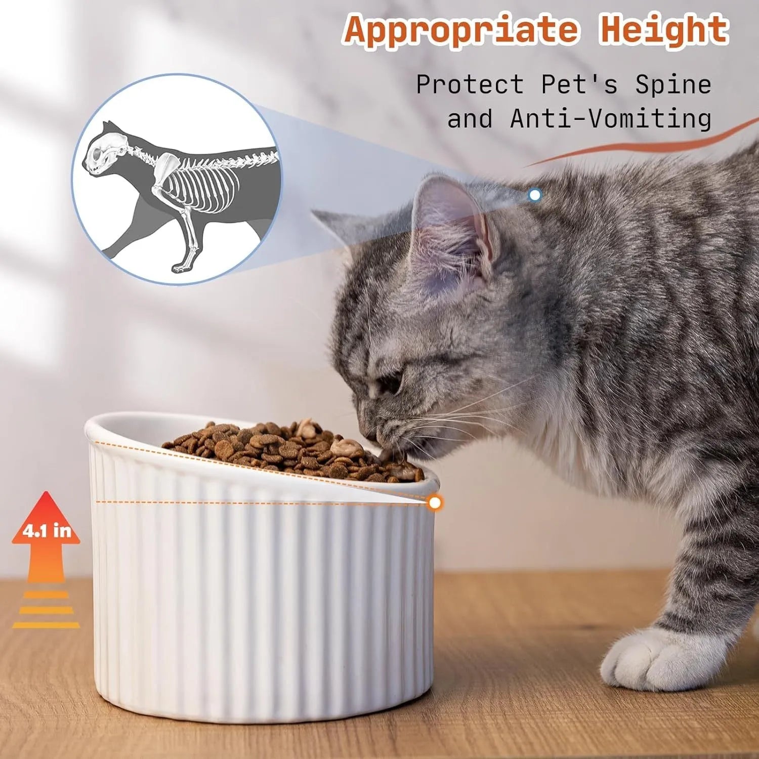Ceramic raised cat bowl in light green, showing elevated tilted design for pet feeding.