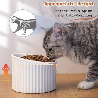 Ceramic raised cat bowl in light green, showing elevated tilted design for pet feeding.
