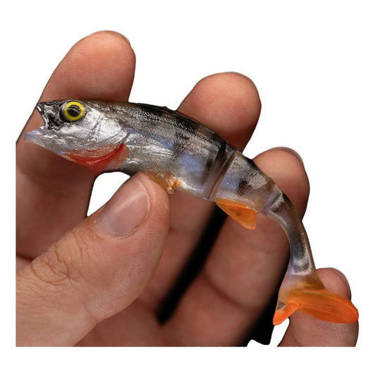 Two Fish T Tail soft plastic fishing lures with scissors-style tails in a natural fish colour pattern
