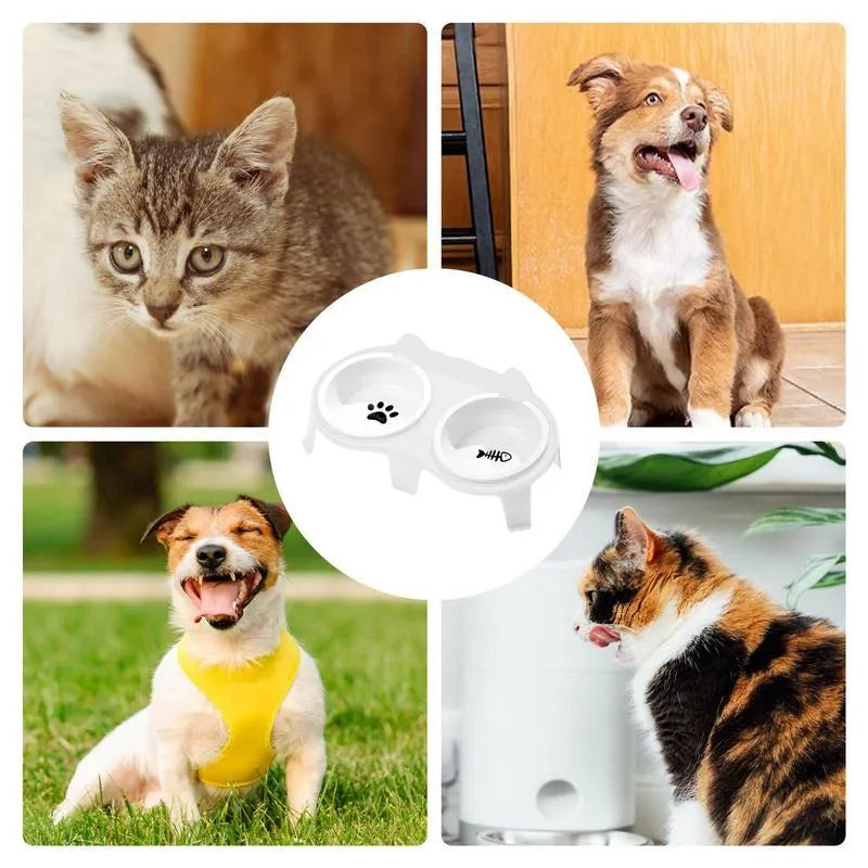 Ceramic cat bowl set with elevated stand in blue, pink, white, or yellow