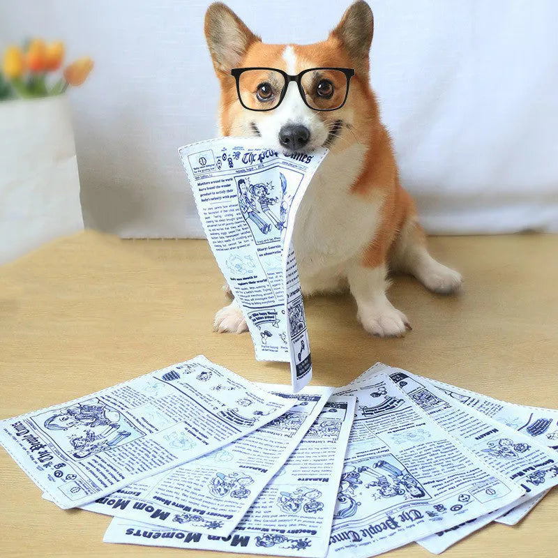 Tearproof squeaking dog toy with printed newspaper and playing card designs