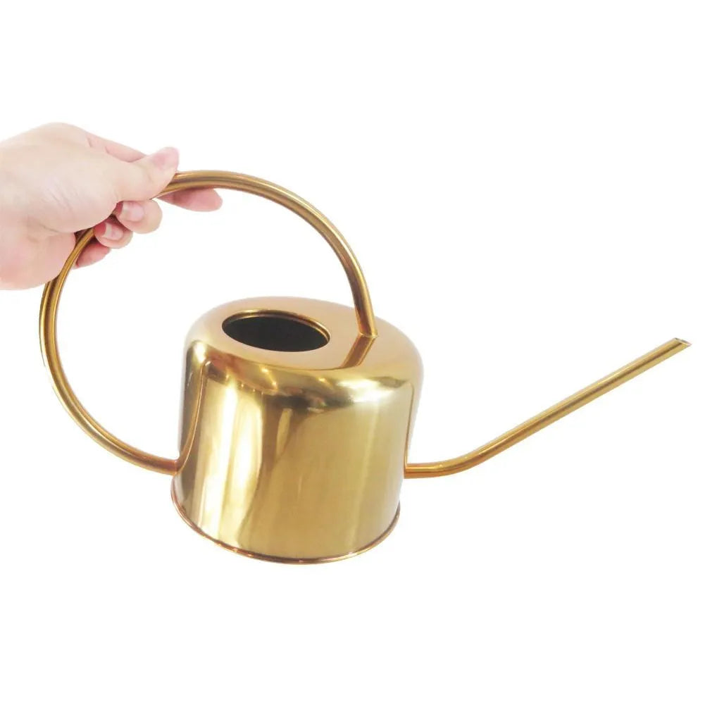 Stainless steel 2 litre watering can with long spout for garden use in black, gold, and stainless steel finishes