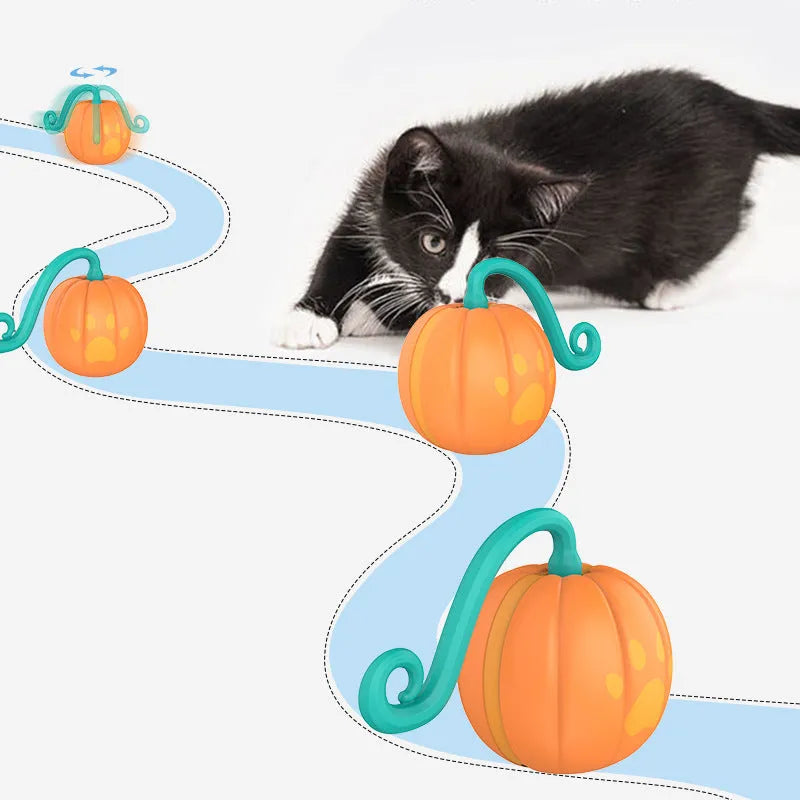 Electric cat toys pet products luminous ball automatic rolling motion cat teasing ball with flashing LED lights plastic construction watermelon and pumpkin colour options for interactive play