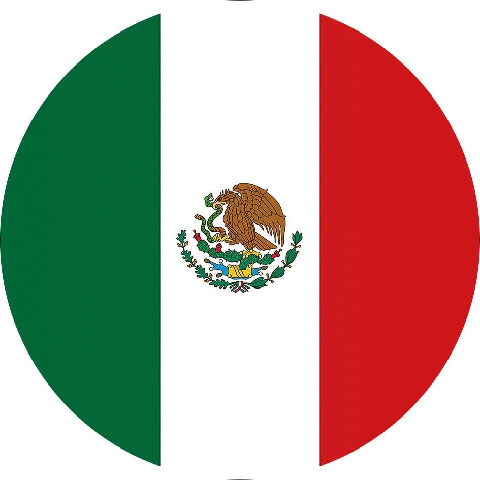 World Cup Qatar football themed biodegradable dishwashing sponges with national flag designs