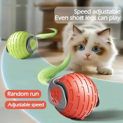 USB Rechargeable Smart Rolling Cat Toy Ball in vibrant colors for feline fun