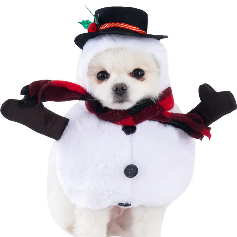 Halloween dog costume example in size M, showing the Bat Suit design made from polyester fabric.