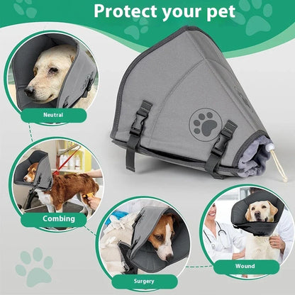 Adjustable pet sterilisation collar showing buckle closure and polyester material texture